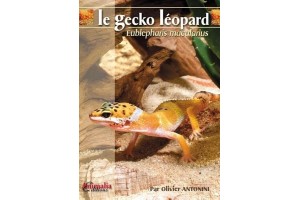 Le Gecko Leopard